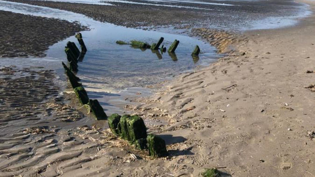 Photo of Others in Quend-Plage-les-Pins
