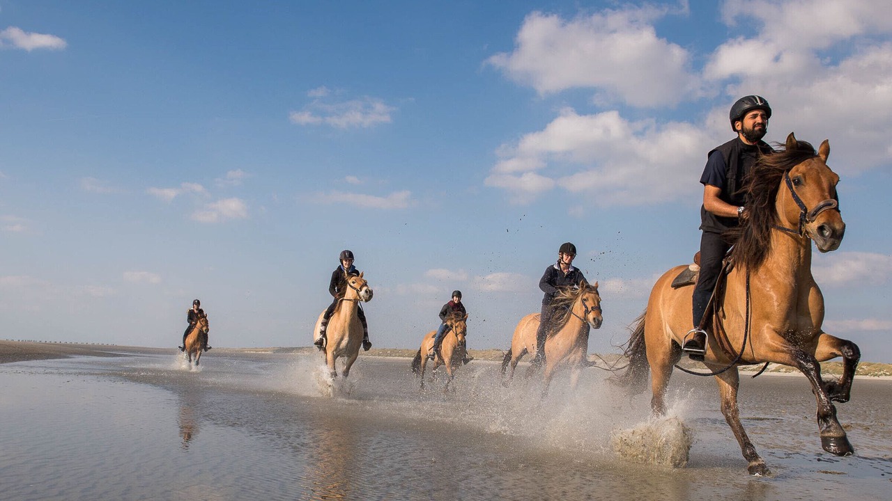 Photo of Others in Quend-Plage-les-Pins