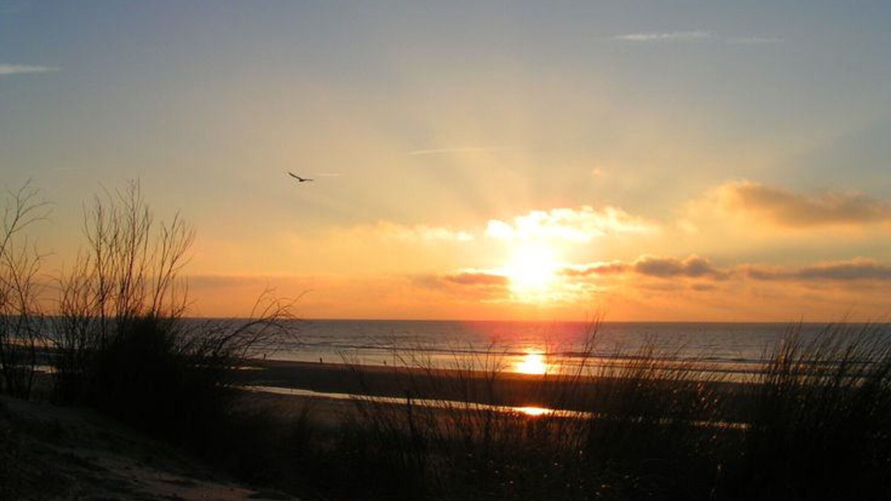 Photo of Outdoor in Quend-Plage-les-Pins