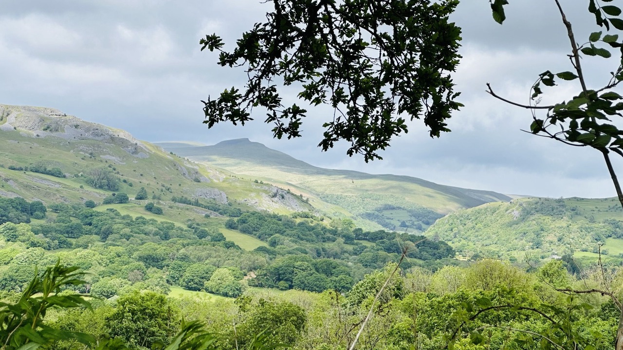 Photo of Others in Coelbren