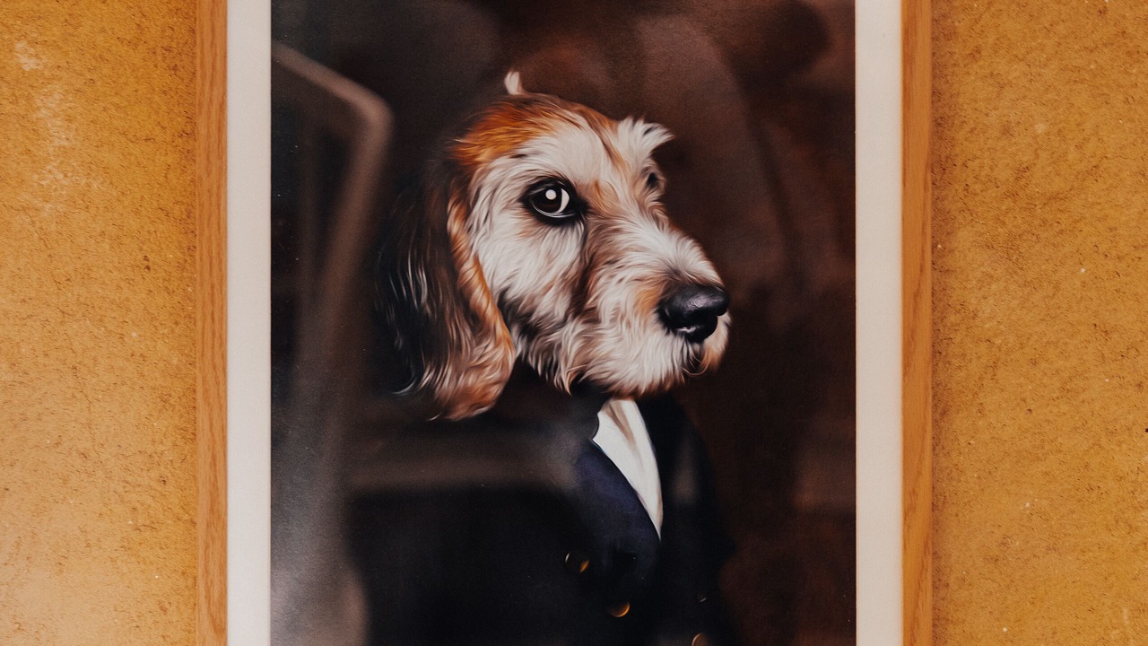 Photo of Others in Saint-Cyprien