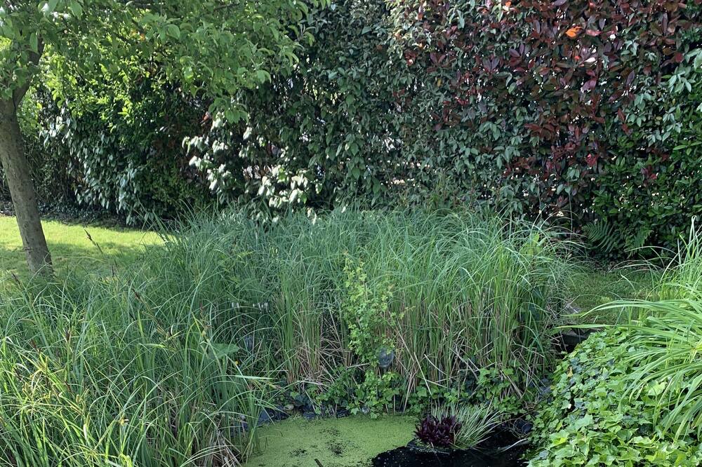 Photo of Outdoor in Friville-Escarbotin