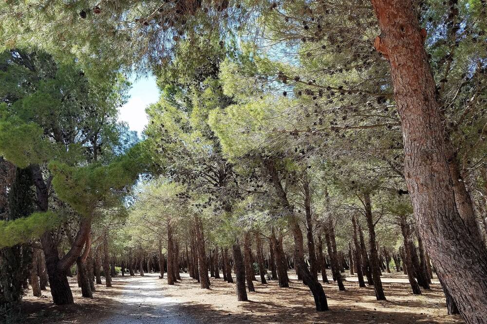 Photo of Outdoor in Fitou