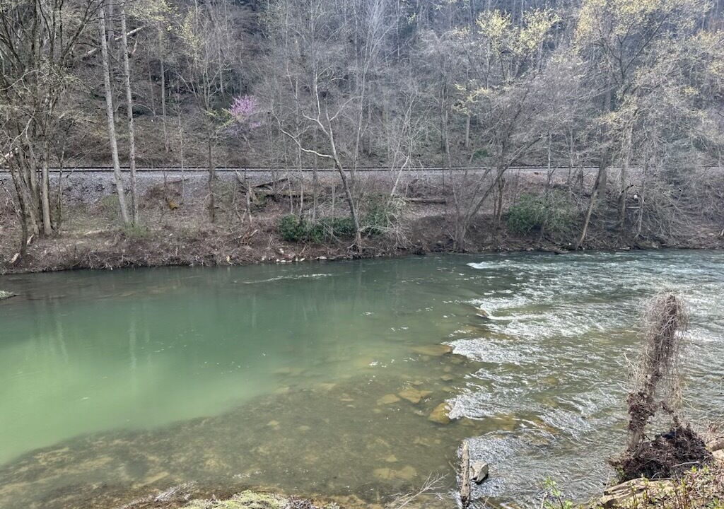 Photo of Outdoor in Pineville
