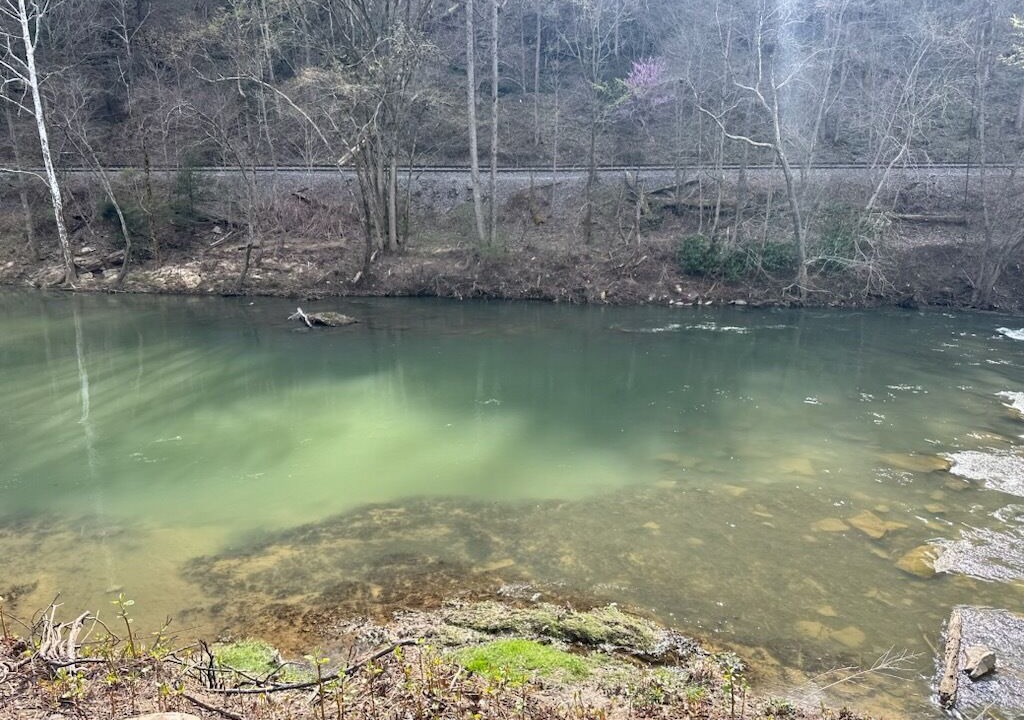 Photo of Outdoor in Pineville