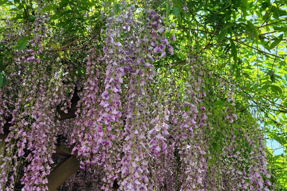 Photo of Outdoor in Roseburg