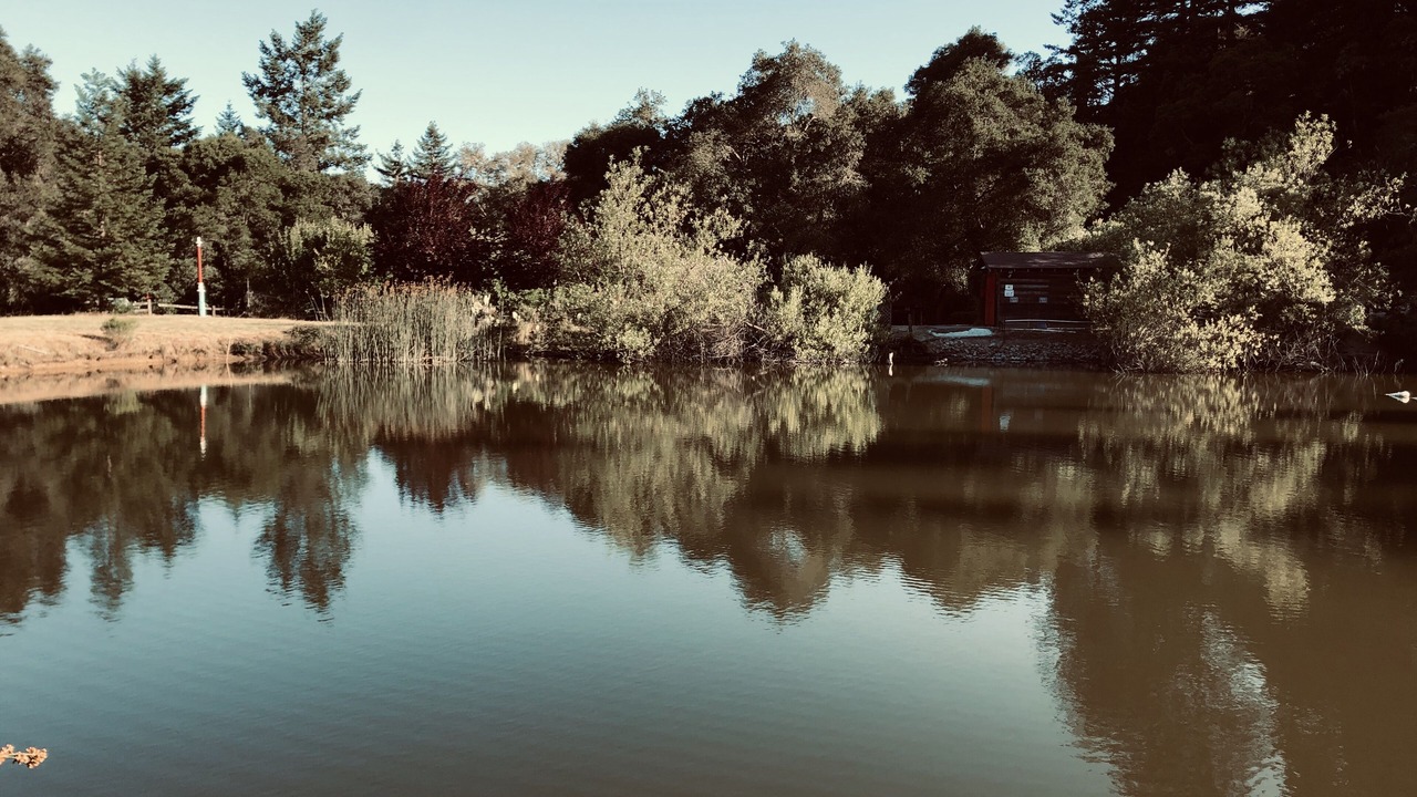 Photo of Outdoor in Los Gatos