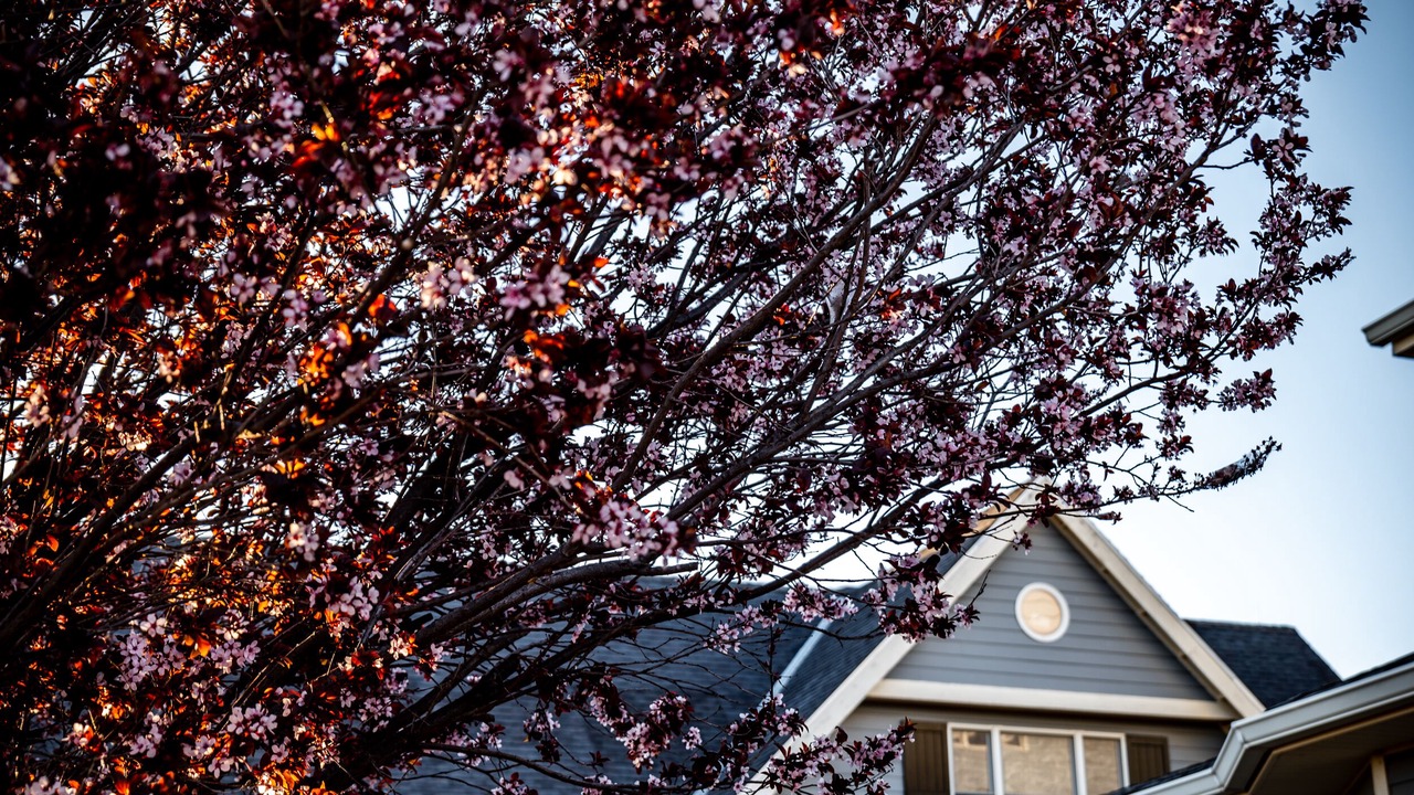 Photo of Outdoor in Elgin