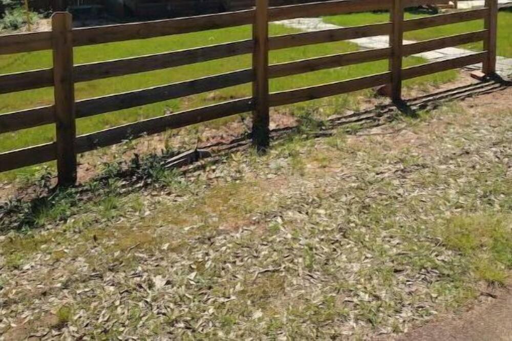 Photo of Outdoor in Jackson