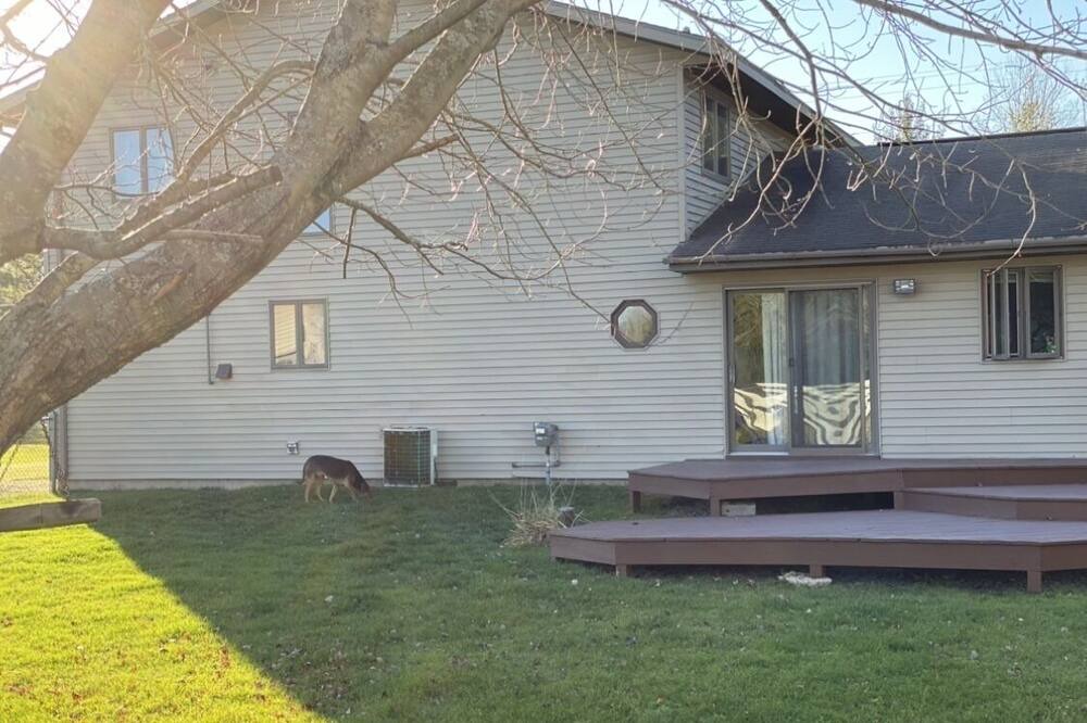 Photo of Outdoor in Hubbard Lake