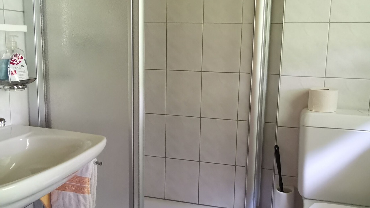 Photo of Bathroom in Obergesteln