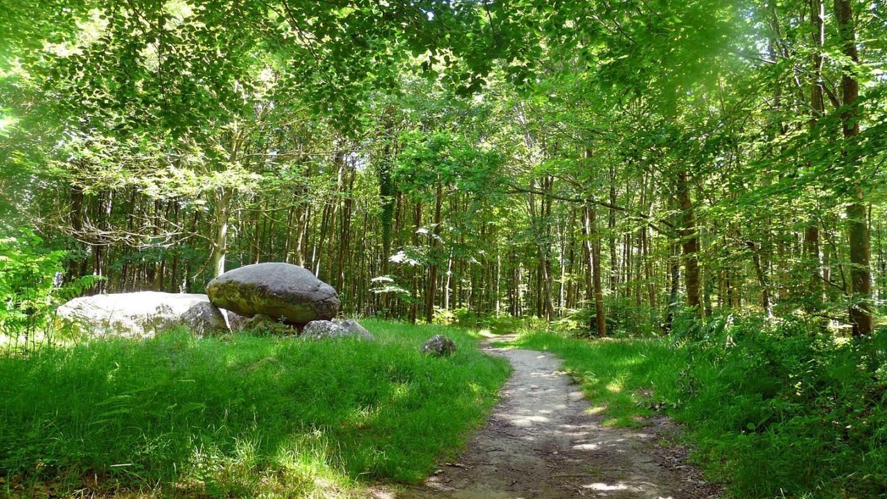 Photo of Outdoor in La Chapelle-Janson