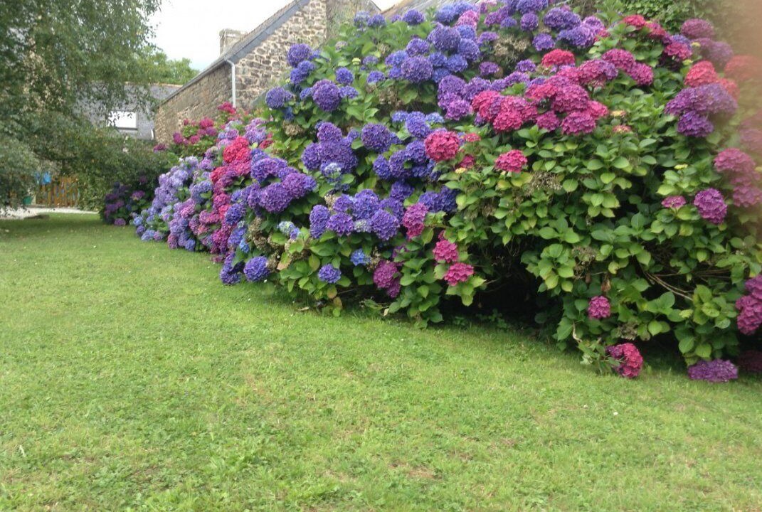 Photo of Others in Briec