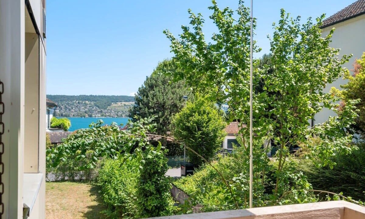 Photo of Others in Horgen District