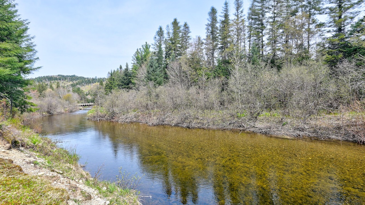 Photo of Outdoor in Errol
