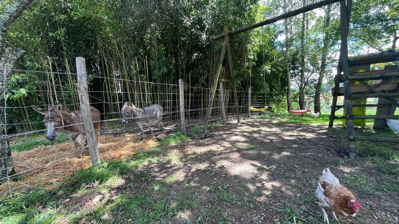 Photo of Outdoor in Baigts-de-Bearn