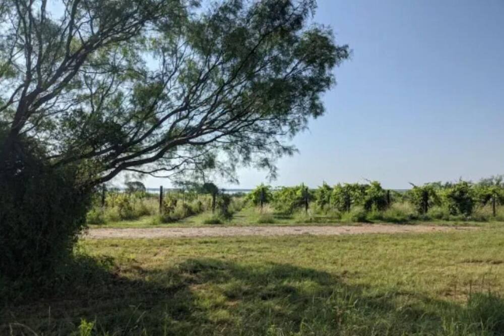 Photo of Outdoor in Millersview