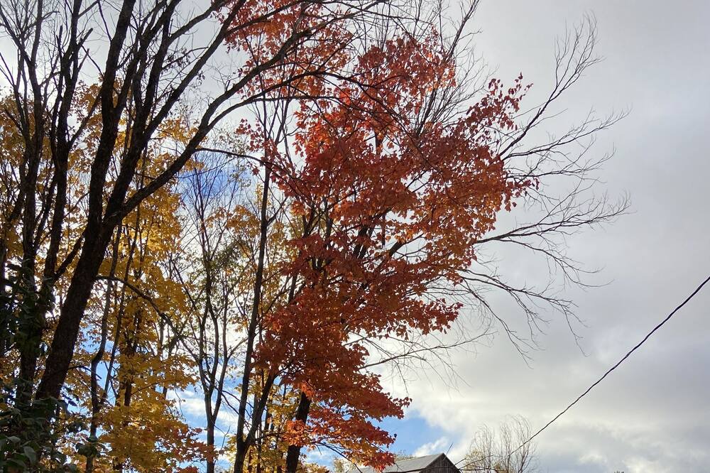 Photo of Outdoor in Perry