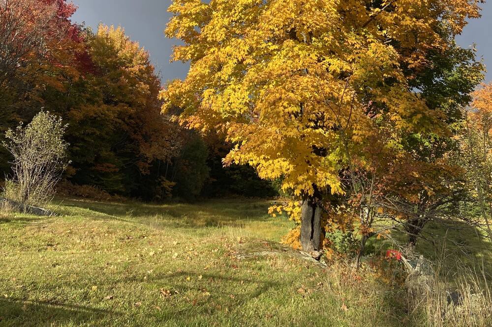 Photo of Outdoor in Perry