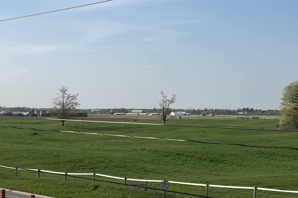 Photo of Others in Puslinch