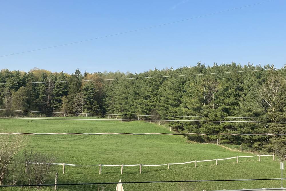 Photo of Others in Puslinch