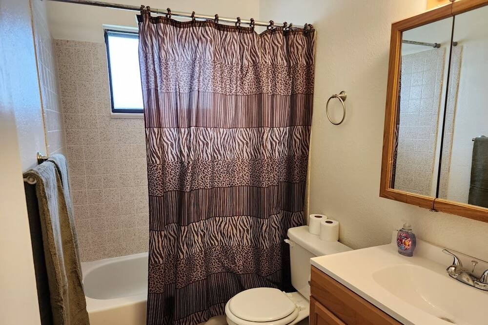 Photo of Bathroom in Dinosaur