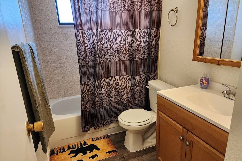 Photo of Bathroom in Dinosaur