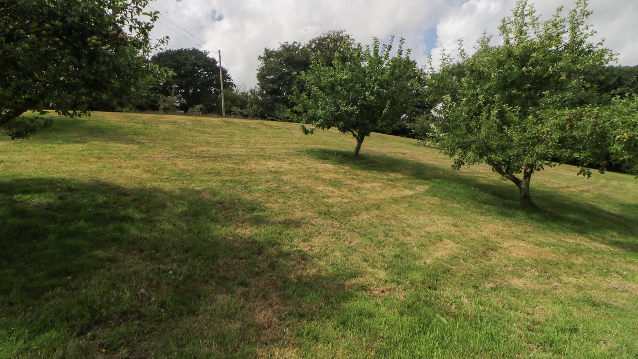 Photo of Others in Chillington