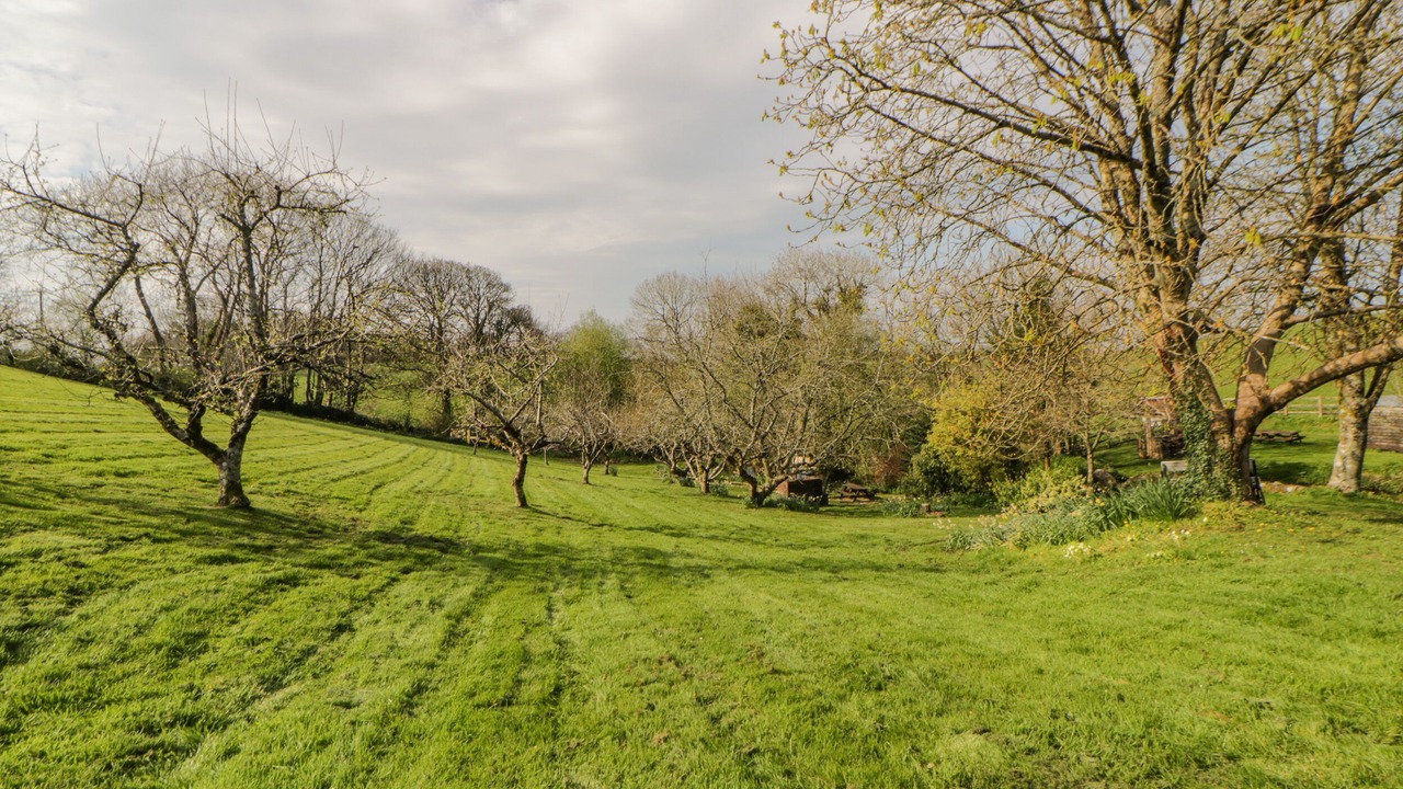 Photo of Others in Chillington