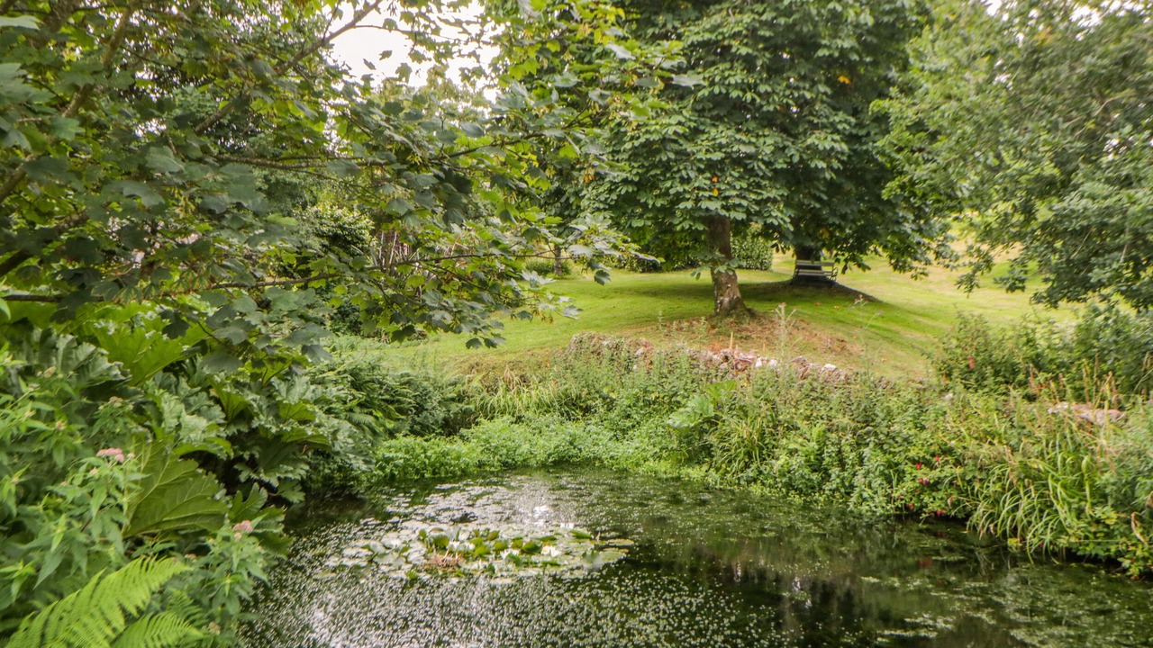 Photo of Others in Chillington