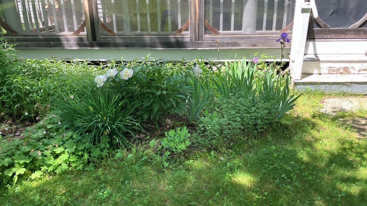 Photo of Outdoor in West Townshend