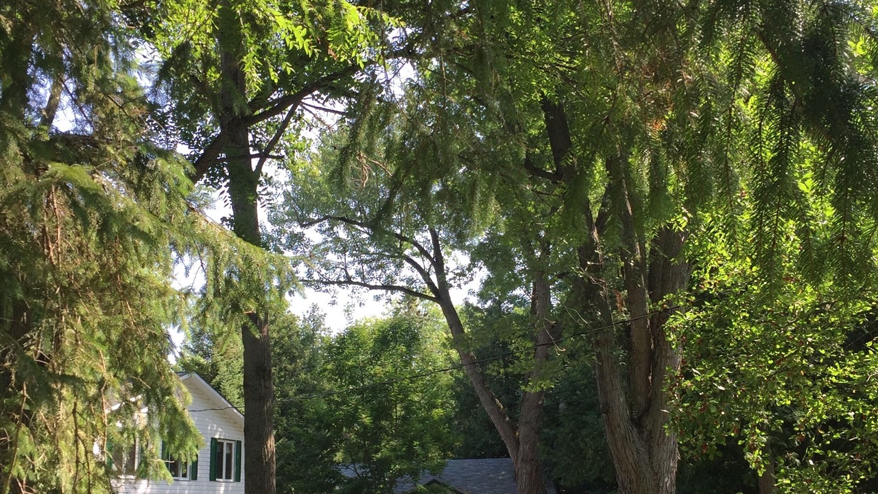 Photo of Outdoor in Dunsford