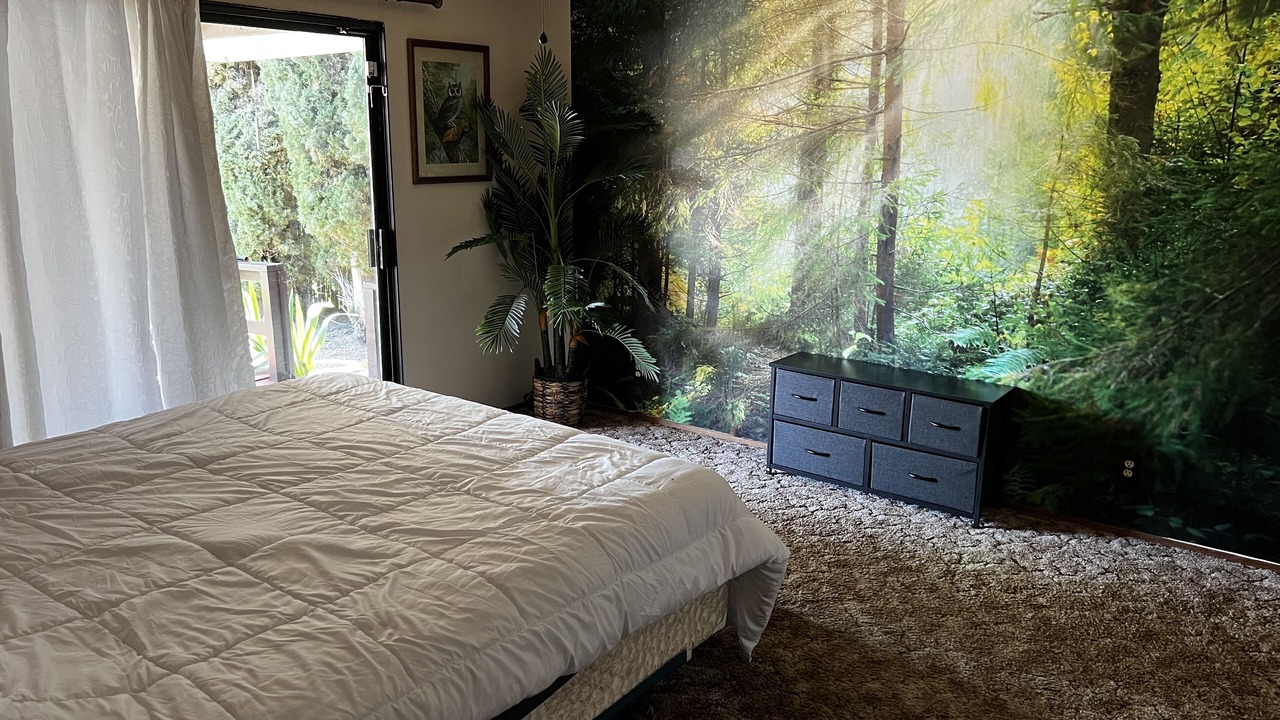 Photo of Bedroom in Clearlake