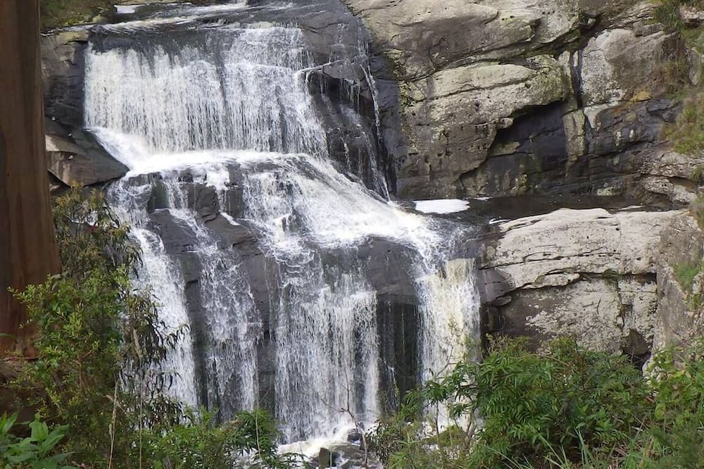 Photo of Outdoor in Welshpool