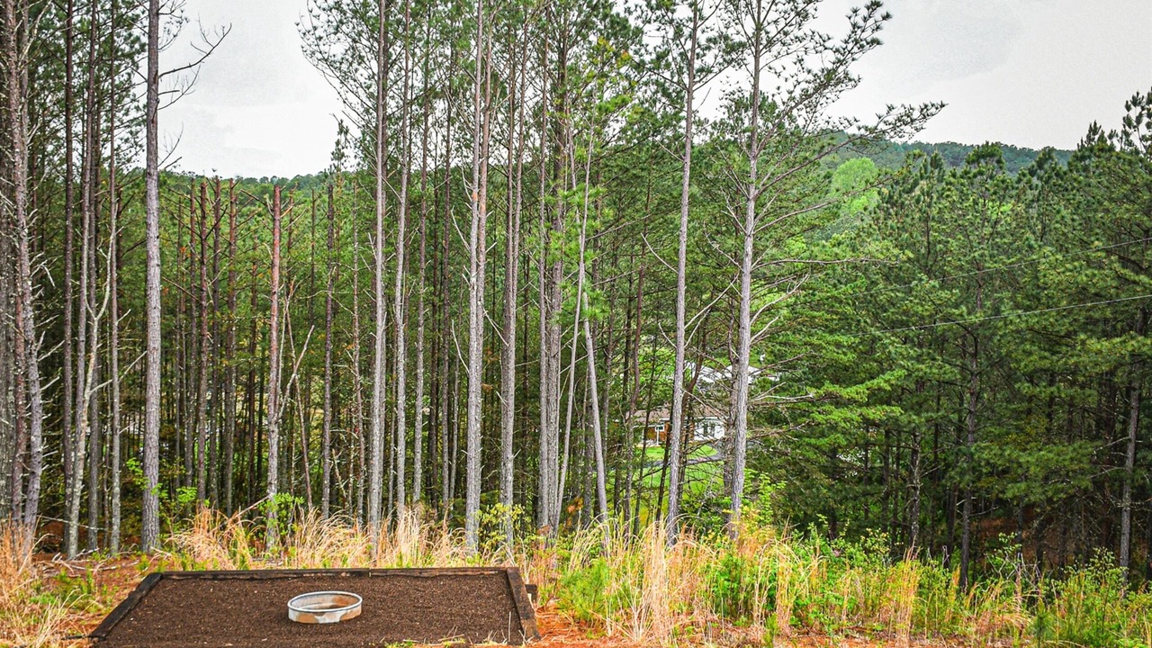 Photo of Outdoor in Ducktown