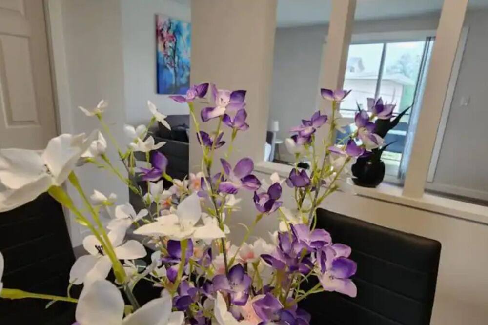 Photo of Others in Northwest Calgary