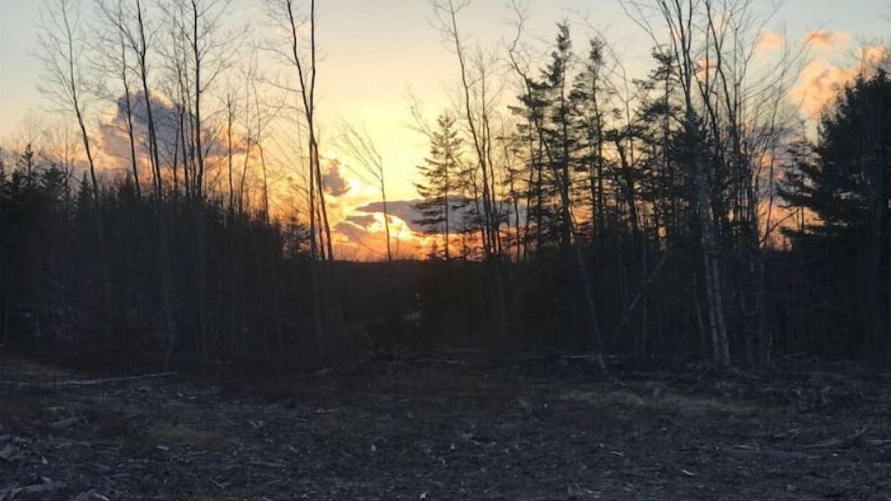 Photo of Outdoor in Columbia Falls