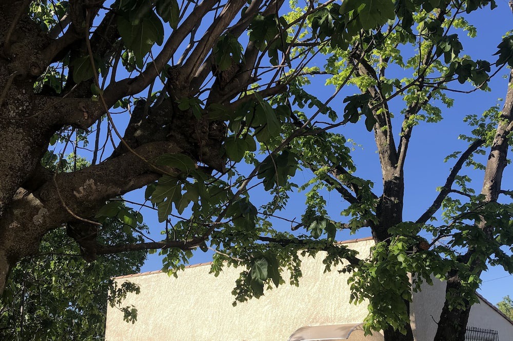 Photo of Outdoor in Mons