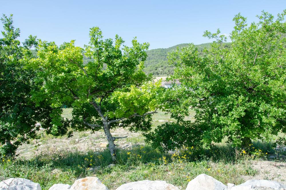 Photo of Outdoor in Saint-Thome
