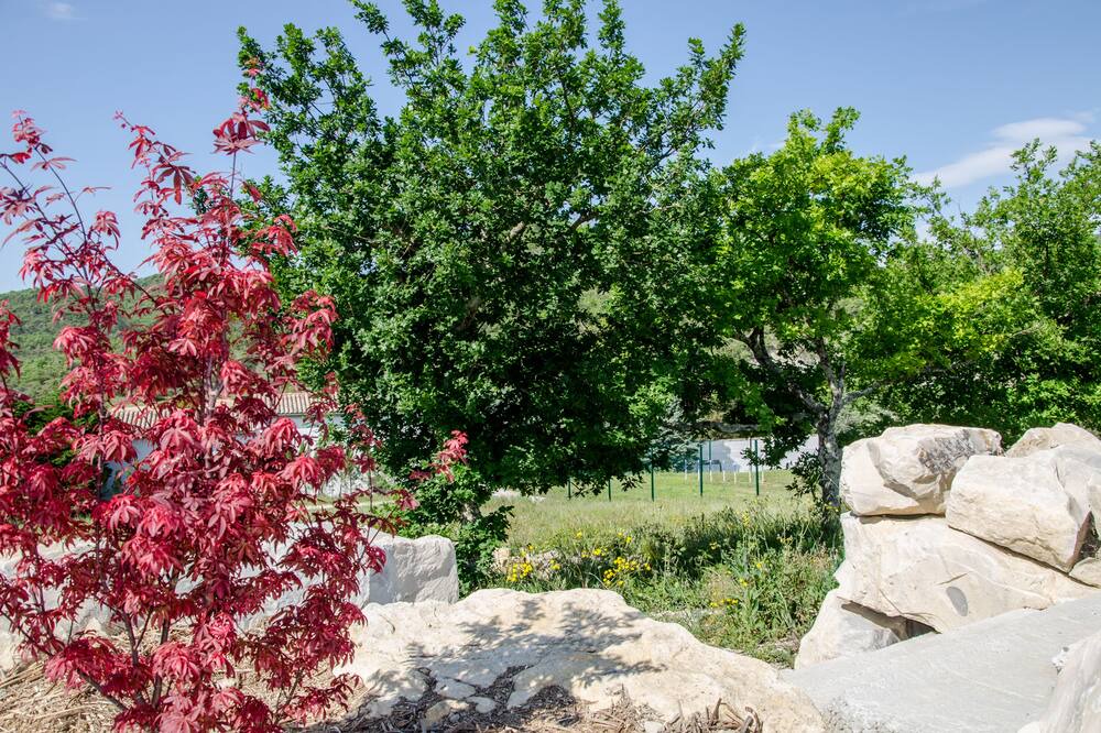 Photo of Outdoor in Saint-Thome
