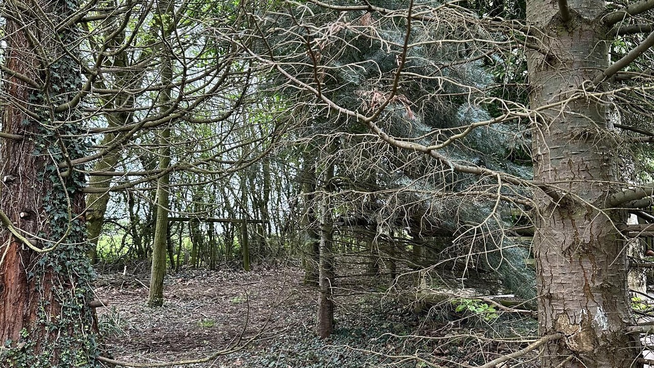 Photo of Others in Grantham