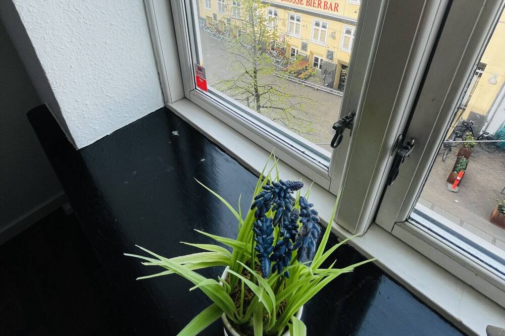Photo of Others in Randers