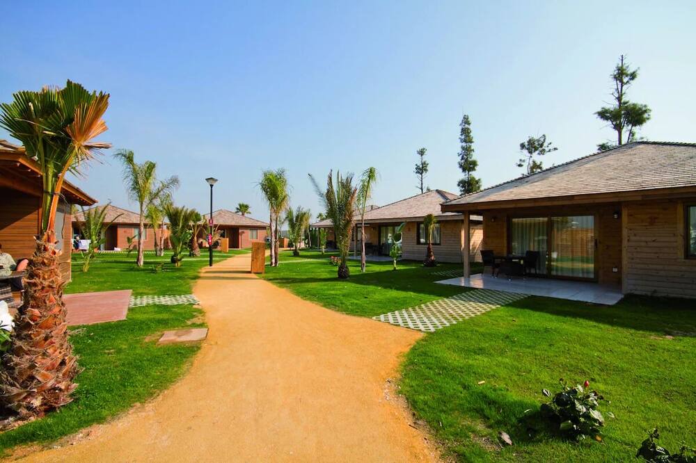 Photo of Outdoor in Chiva