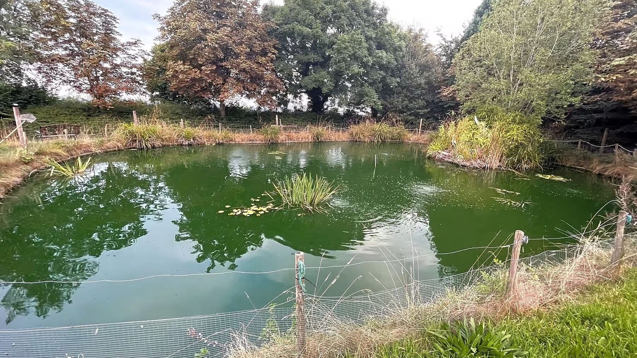 Photo of Outdoor in Grantham