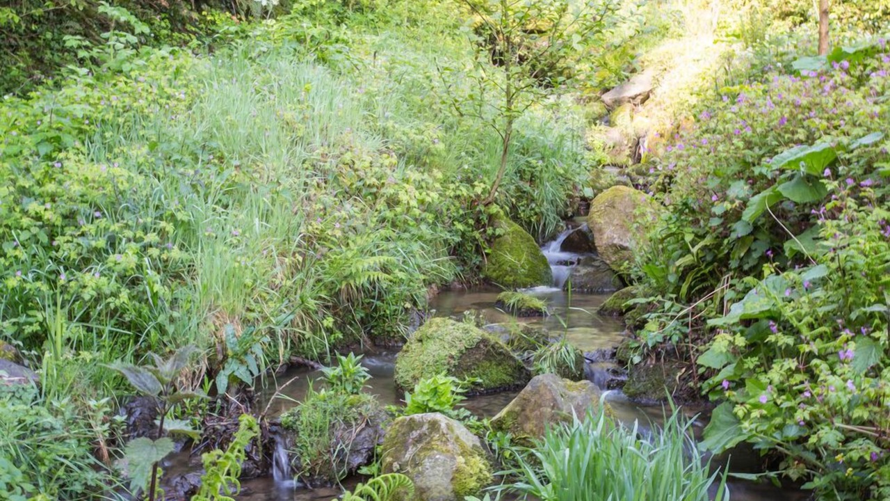 Photo of Outdoor in Pouzauges