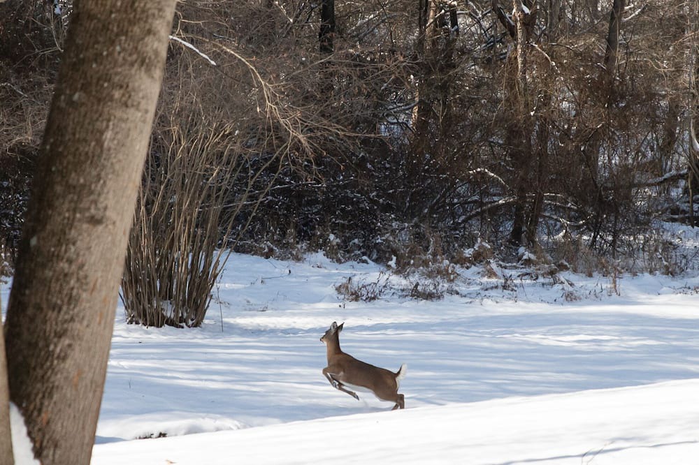 Photo of Outdoor in Cumbola