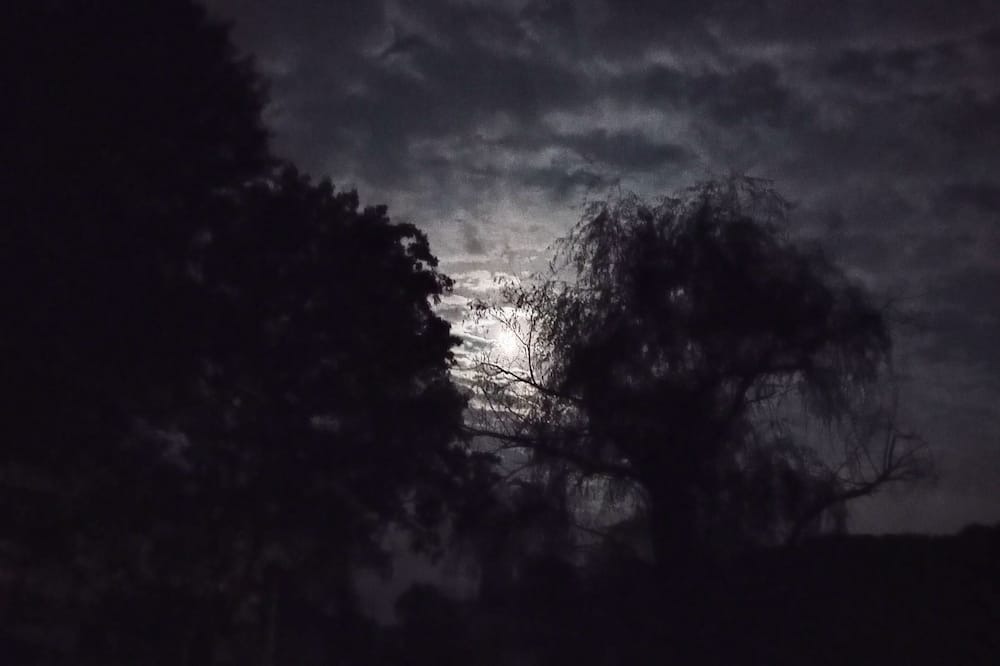 Photo of Others in Cumbola