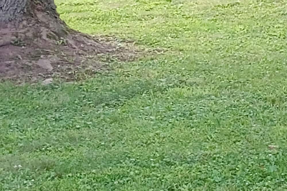 Photo of Others in Cumbola