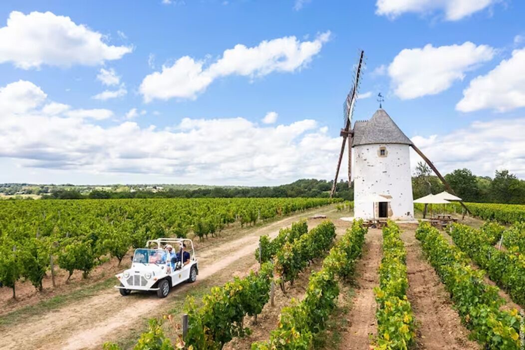 Photo of Others in La Couture