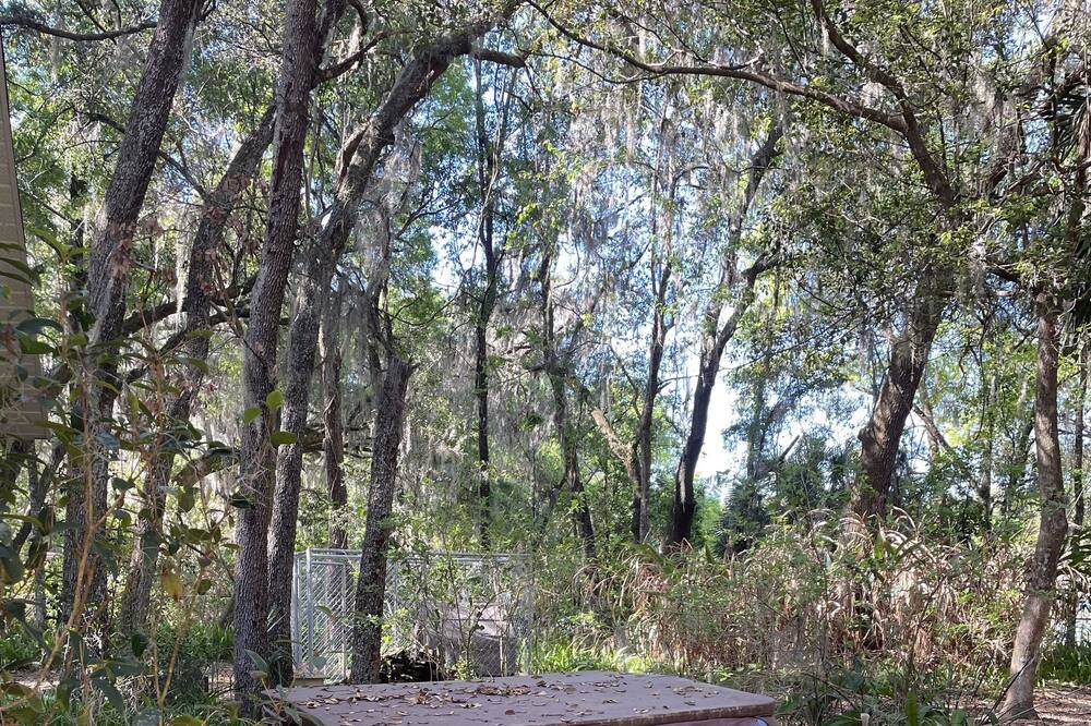 Photo of Outdoor in Edgar